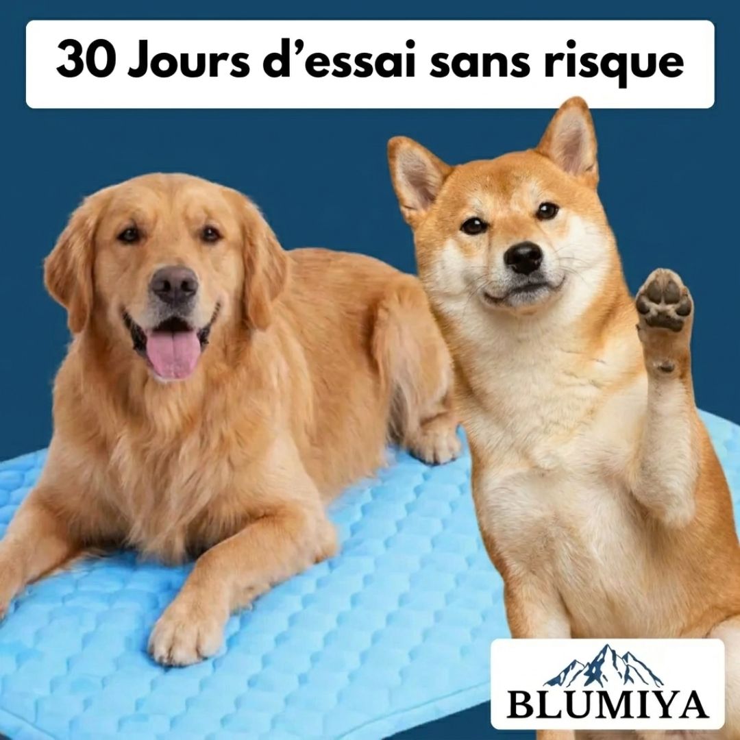 Tapis Fraîcheur pour Chien – Offrez à votre compagnon un été au frais