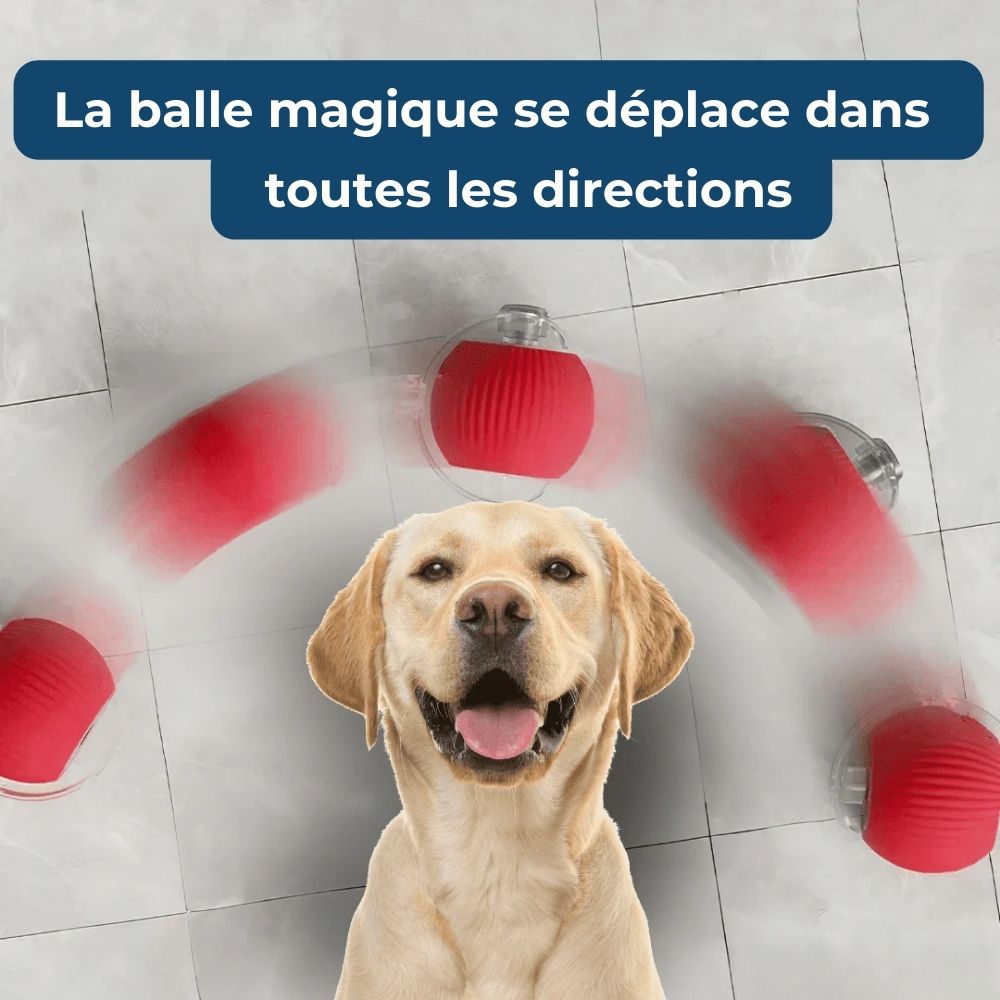 Power-Ball – La Balle Interactive Inarrêtable
