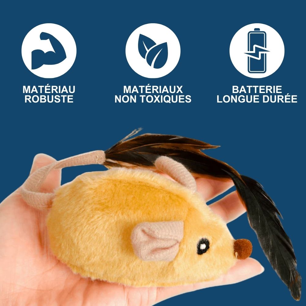 Souris Magique