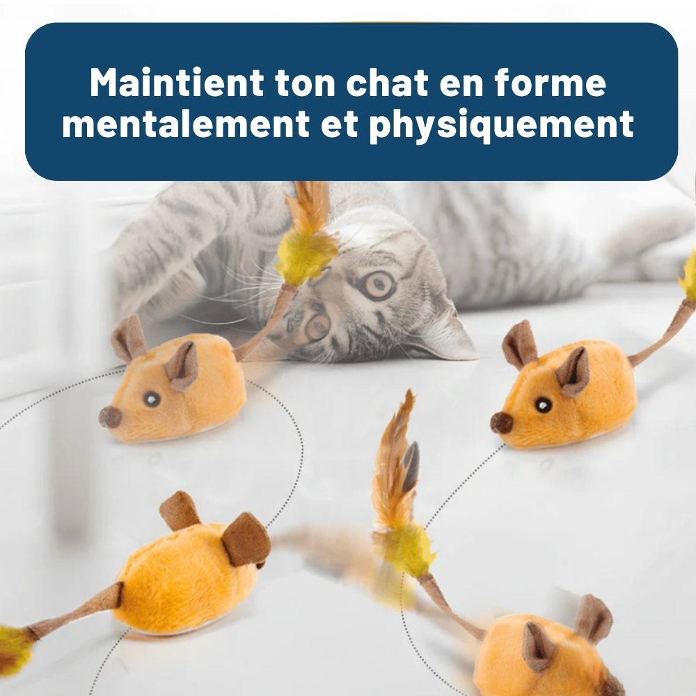 Souris Magique