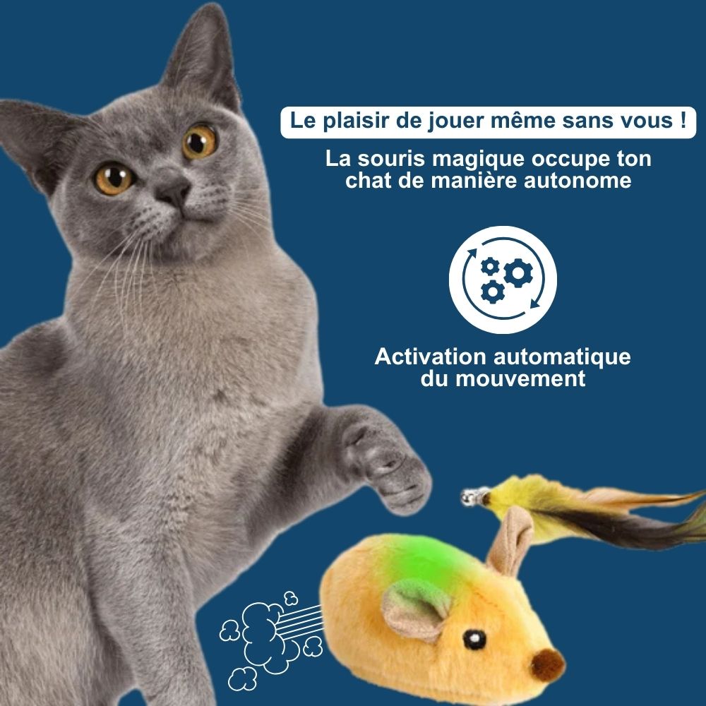 Souris Magique