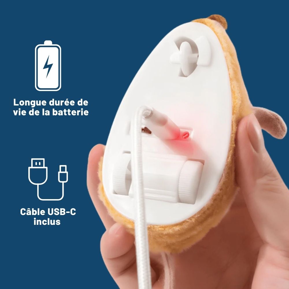 Souris Magique