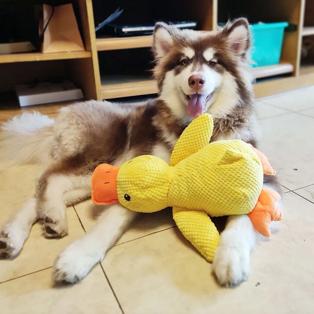 Calming Duck - Le Canard Anti-Stress