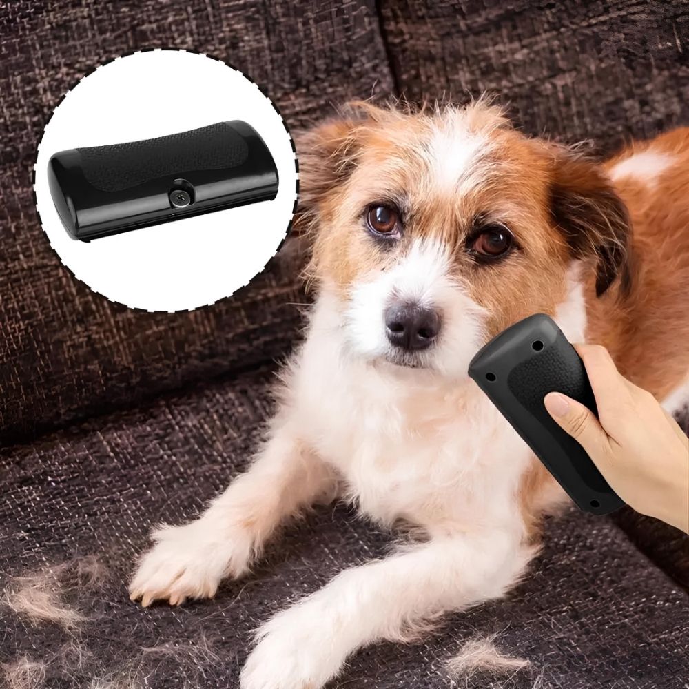 MagicBrush - La Brosse Miracle du Pelage