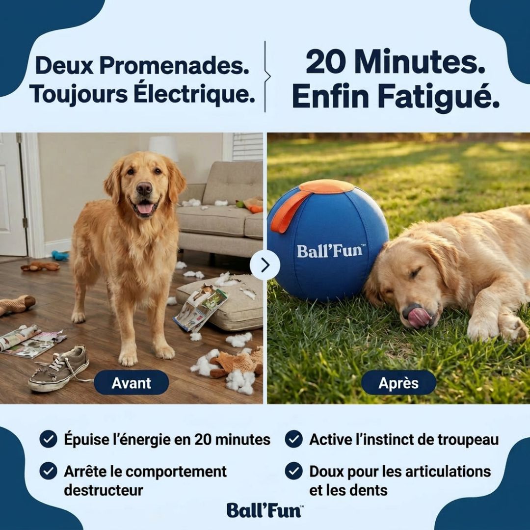 Ball'Fun – Amusement et exercice pour chiens heureux
