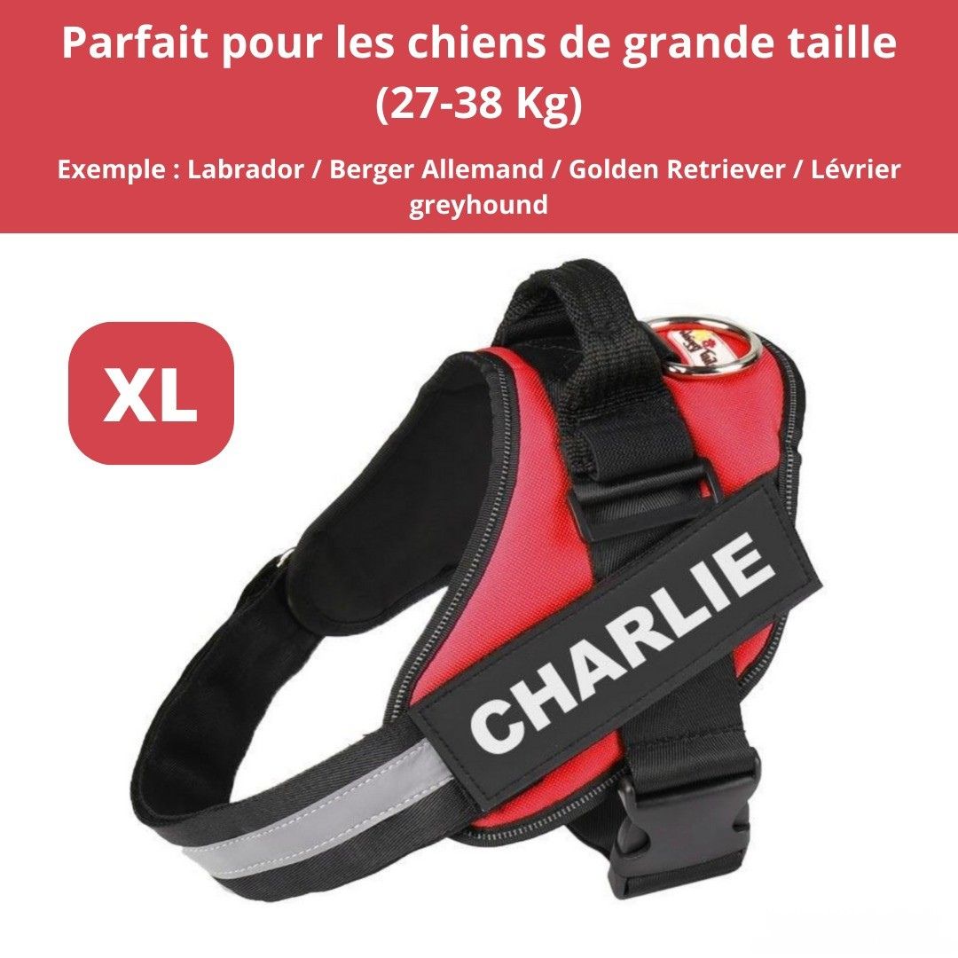 Harnais ComfortPro – Offrez à votre chien un confort inégalé !