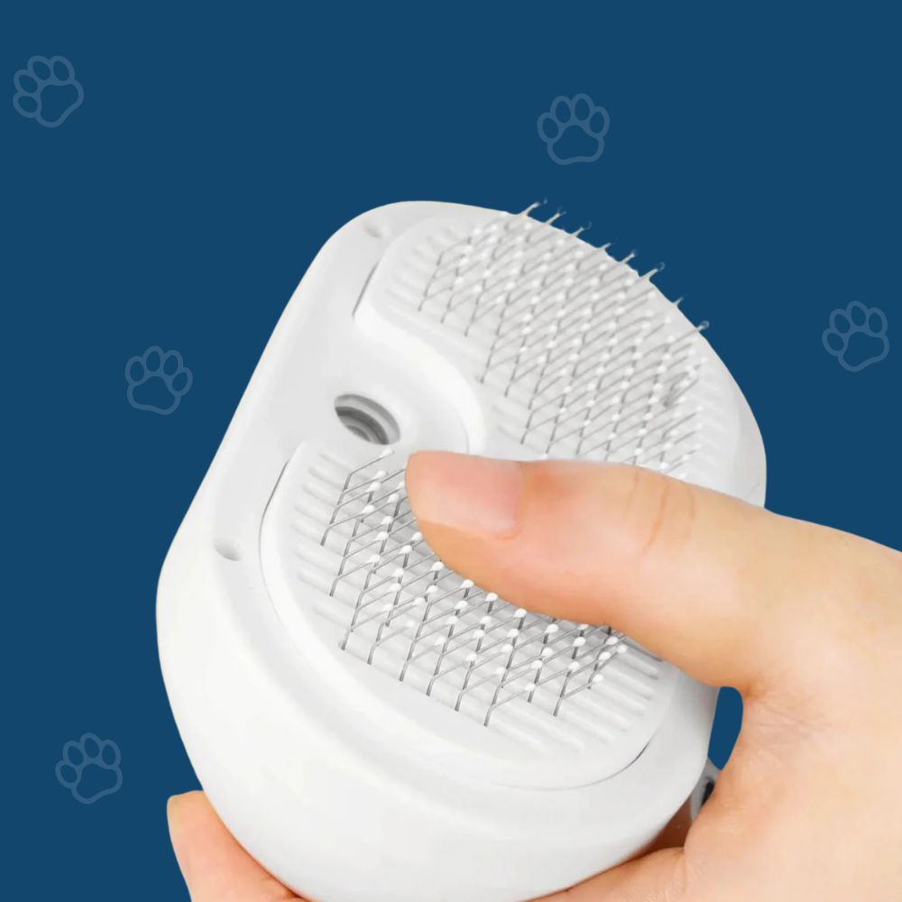 HydroBrush - Dites adieu aux poils morts et à la peau sèche