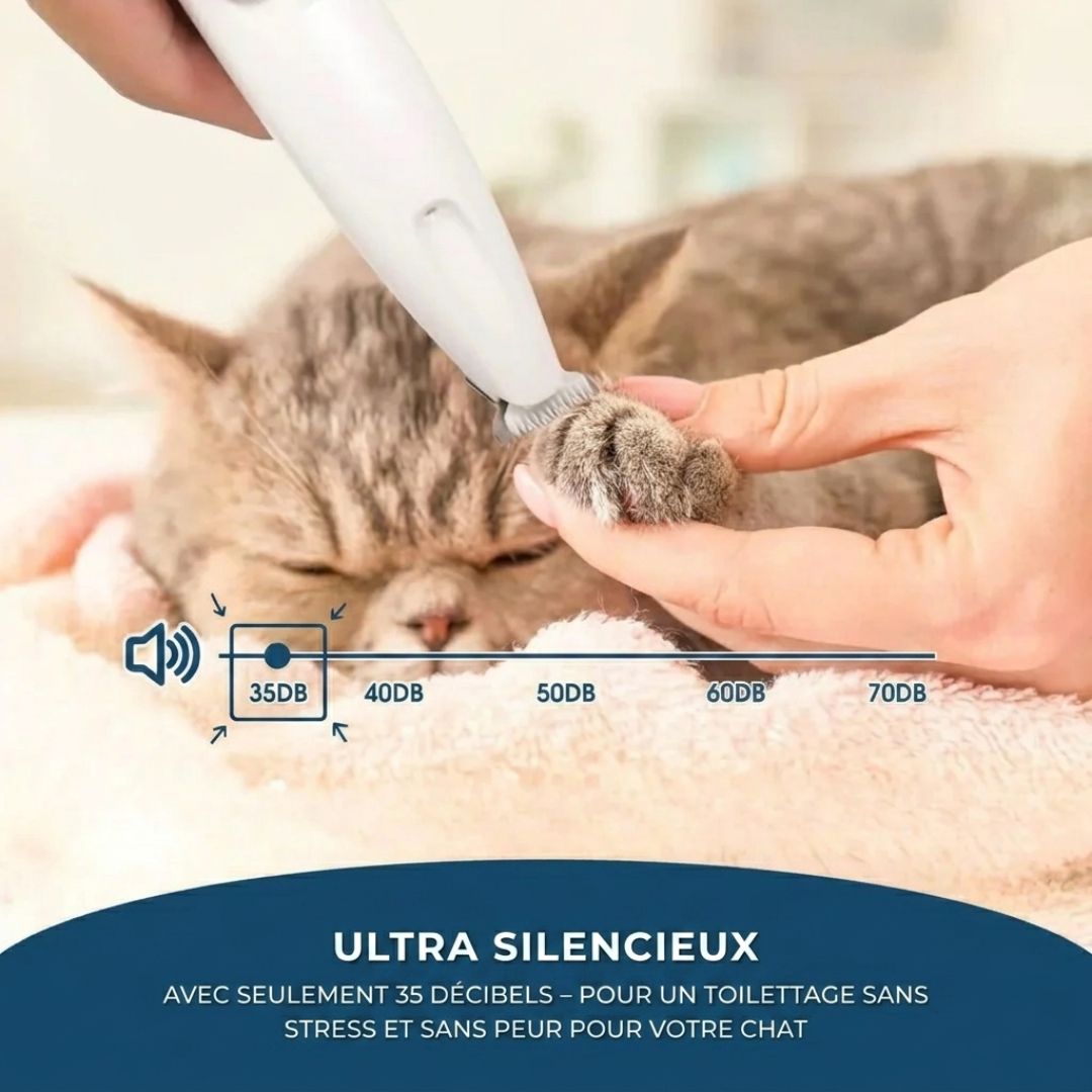 SoftPaws™ – Le soin doux et silencieux pour votre chat