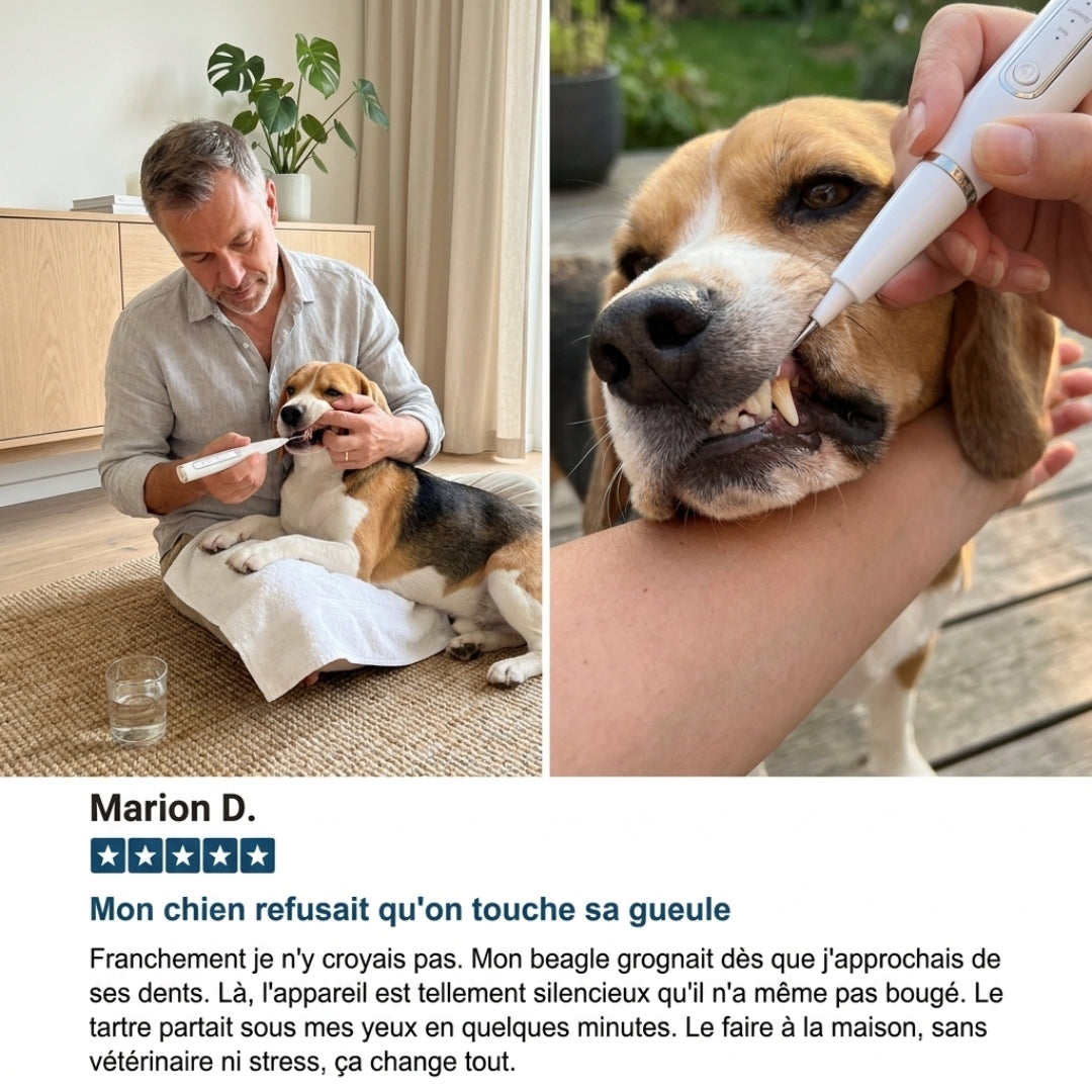 Nettoyeur Dentaire Ultrasonique pour chien – Une bouche plus saine