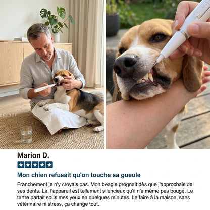 Nettoyeur Dentaire Ultrasonique pour chien – Une bouche plus saine