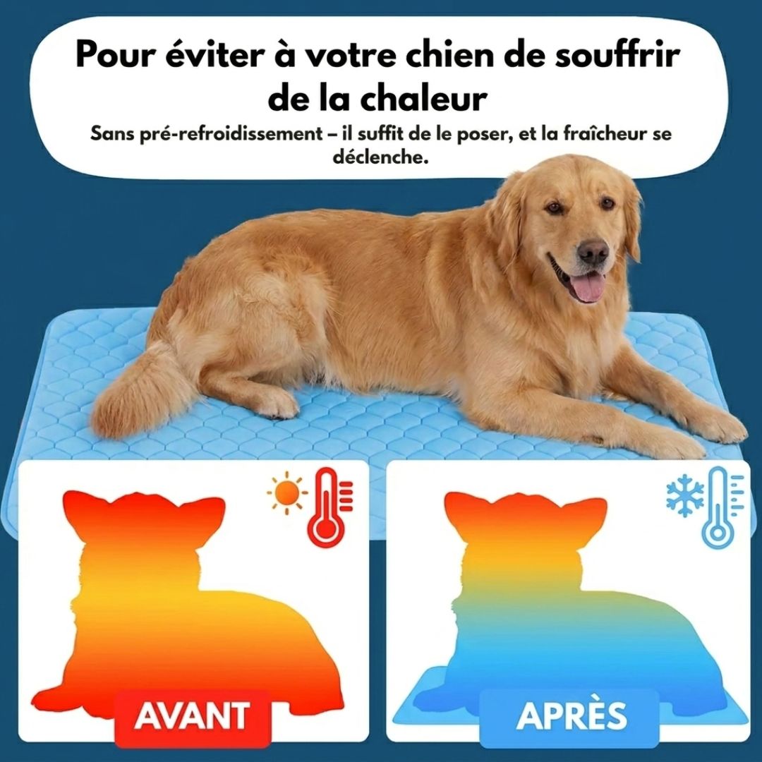 Tapis Fraîcheur pour Chien – Offrez à votre compagnon un été au frais