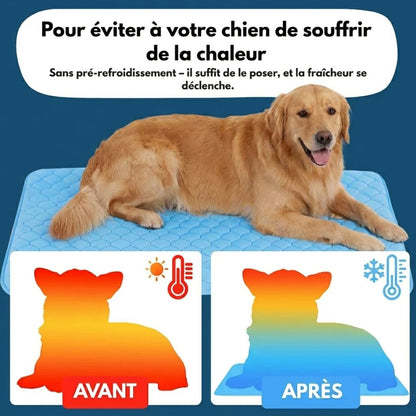 Tapis Fraîcheur pour Chien – Offrez à votre compagnon un été au frais
