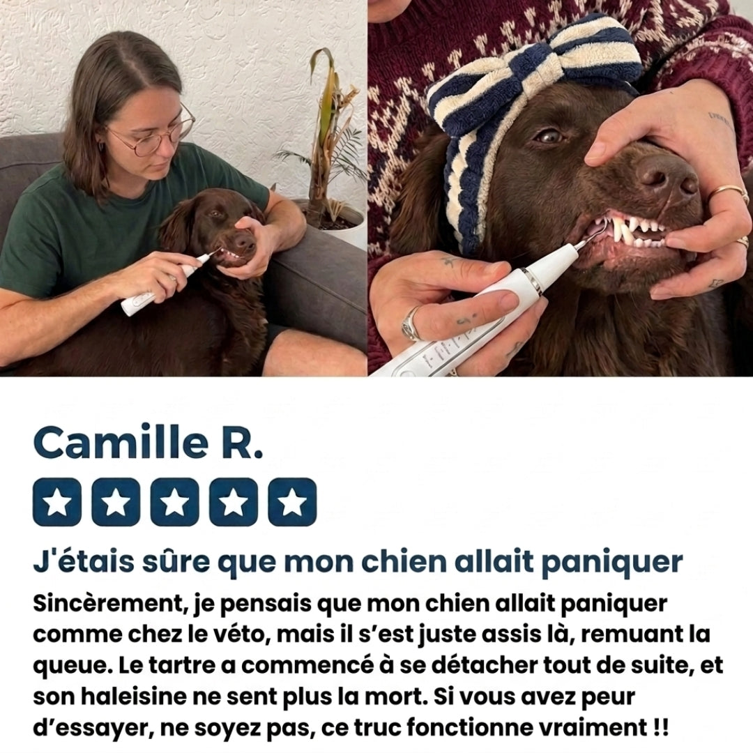 Nettoyeur Dentaire Ultrasonique pour chien – Une bouche plus saine