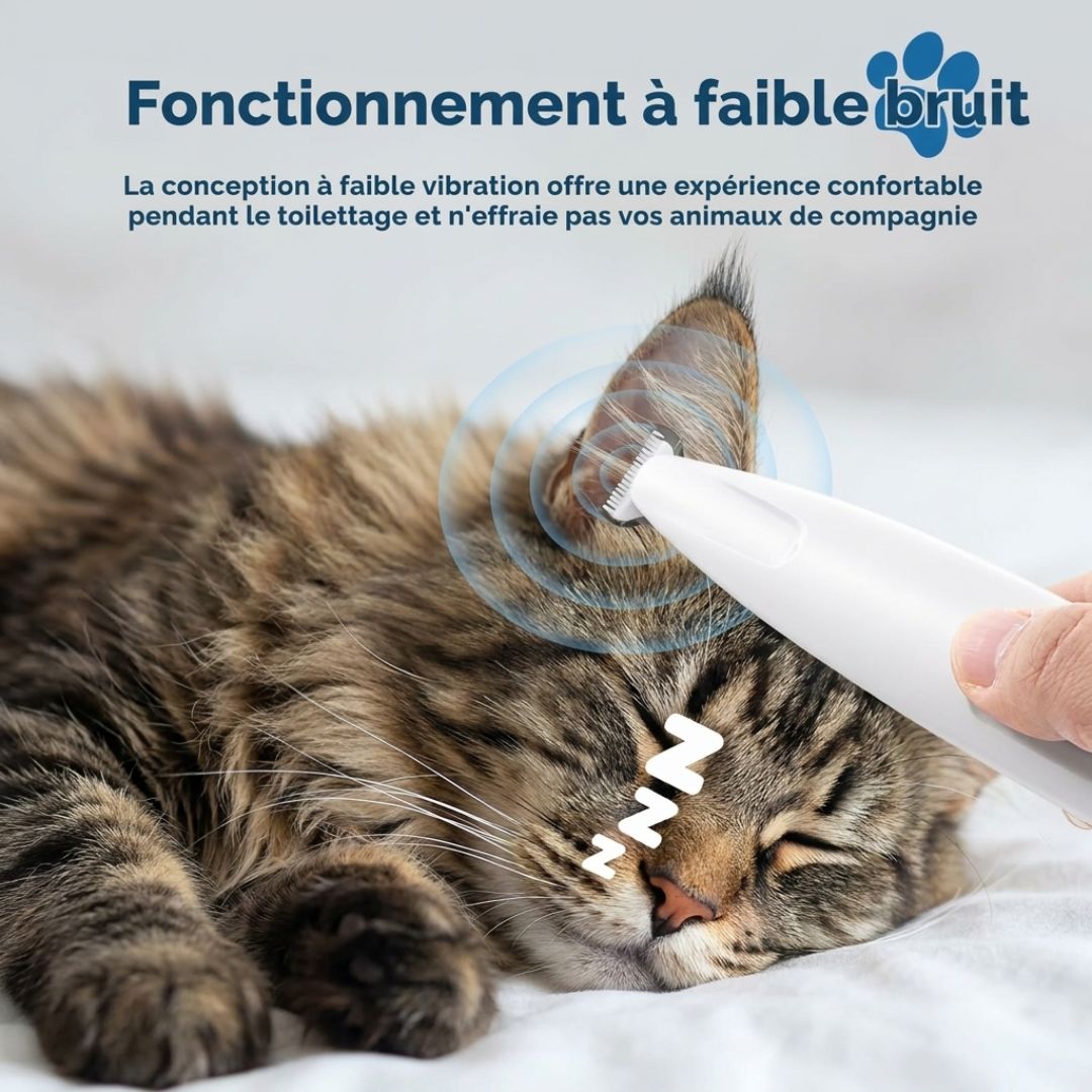 SoftPaws™ – Le soin doux et silencieux pour votre chat