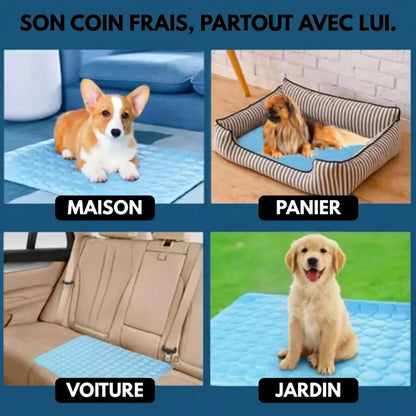 Tapis Fraîcheur pour Chien – Offrez à votre compagnon un été au frais