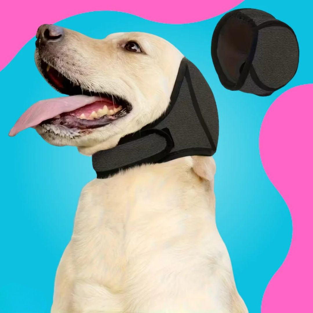 SilentWoof™ – Casque anti-bruit pour chien