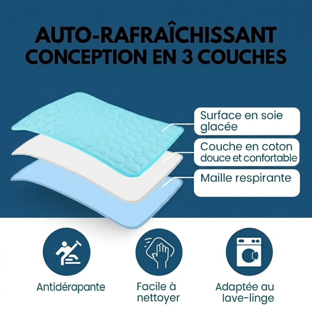 Tapis Fraîcheur pour Chien – Offrez à votre compagnon un été au frais