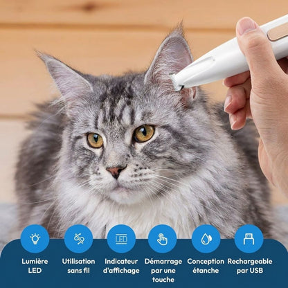 SoftPaws™ – Le soin doux et silencieux pour votre chat