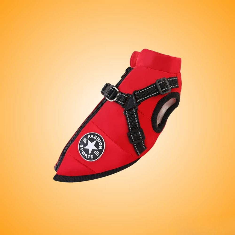 Manteau Hiver NordPaws – Protège ton chien avec style