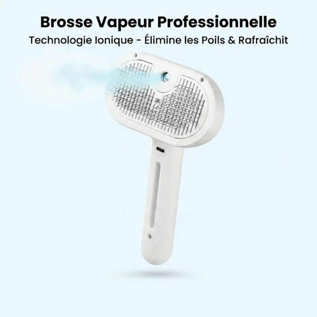 Brosse professionnelle pour le soin du pelage des animaux de compagnie
