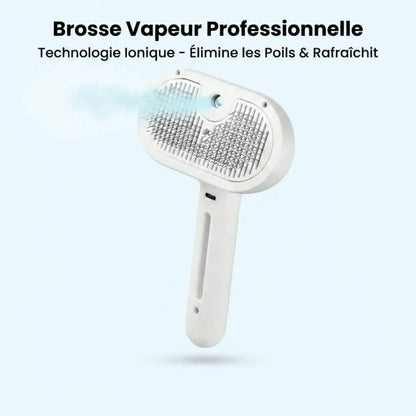 Brosse professionnelle pour le soin du pelage des animaux de compagnie