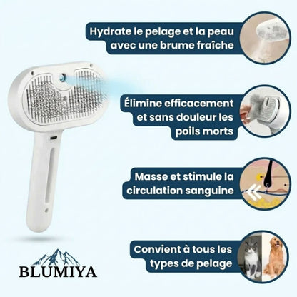 Brosse professionnelle pour le soin du pelage des animaux de compagnie