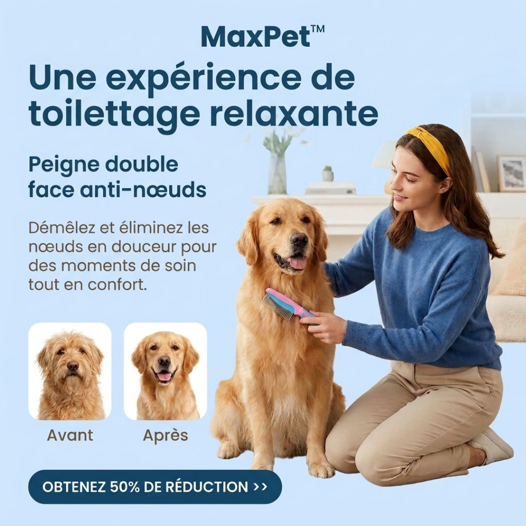 Brosse anti-nœuds MaxPet™ – Un toilettage facile et sans tracas