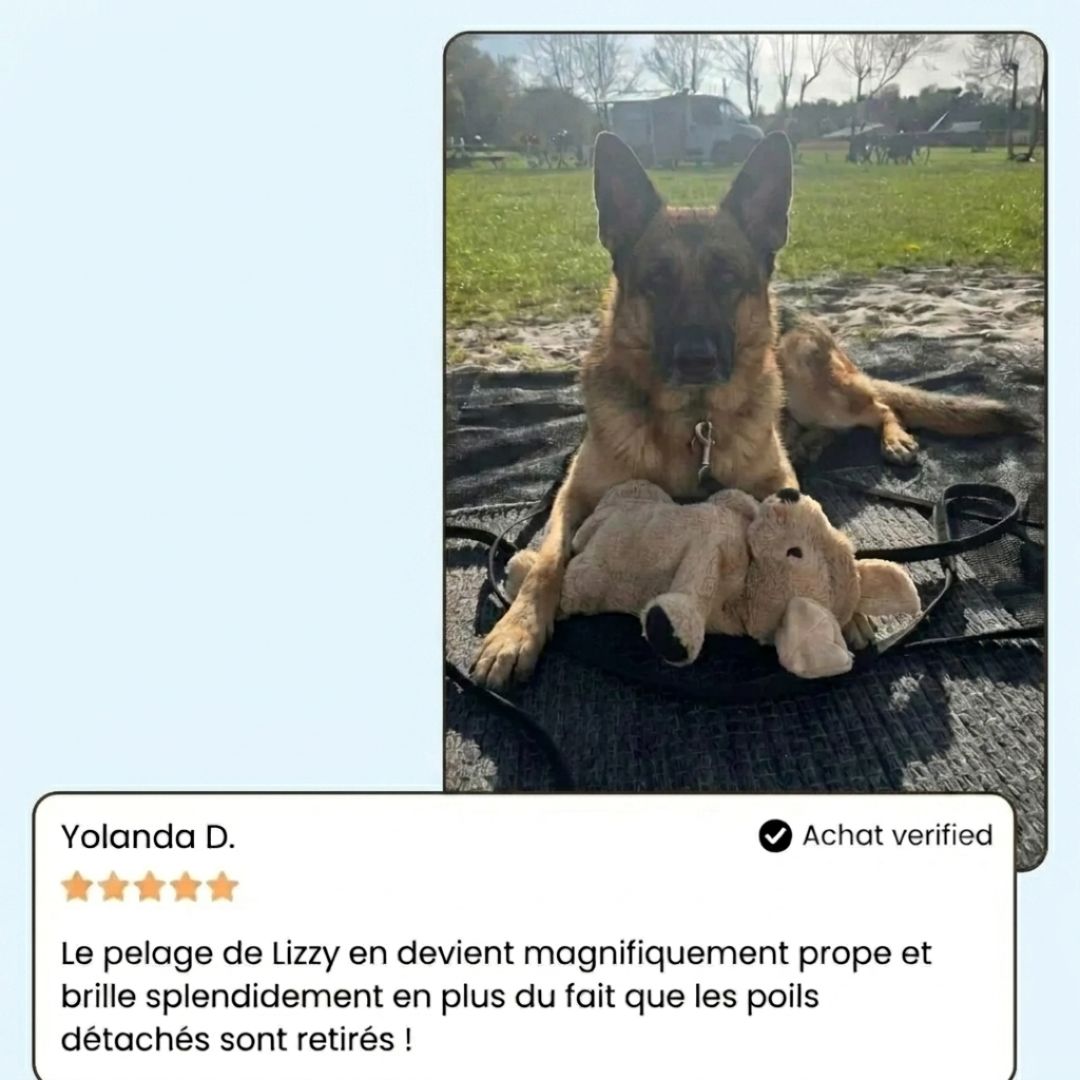 Brosse professionnelle pour le soin du pelage des animaux de compagnie