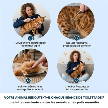 Brosse anti-nœuds MaxPet™ – Un toilettage facile et sans tracas