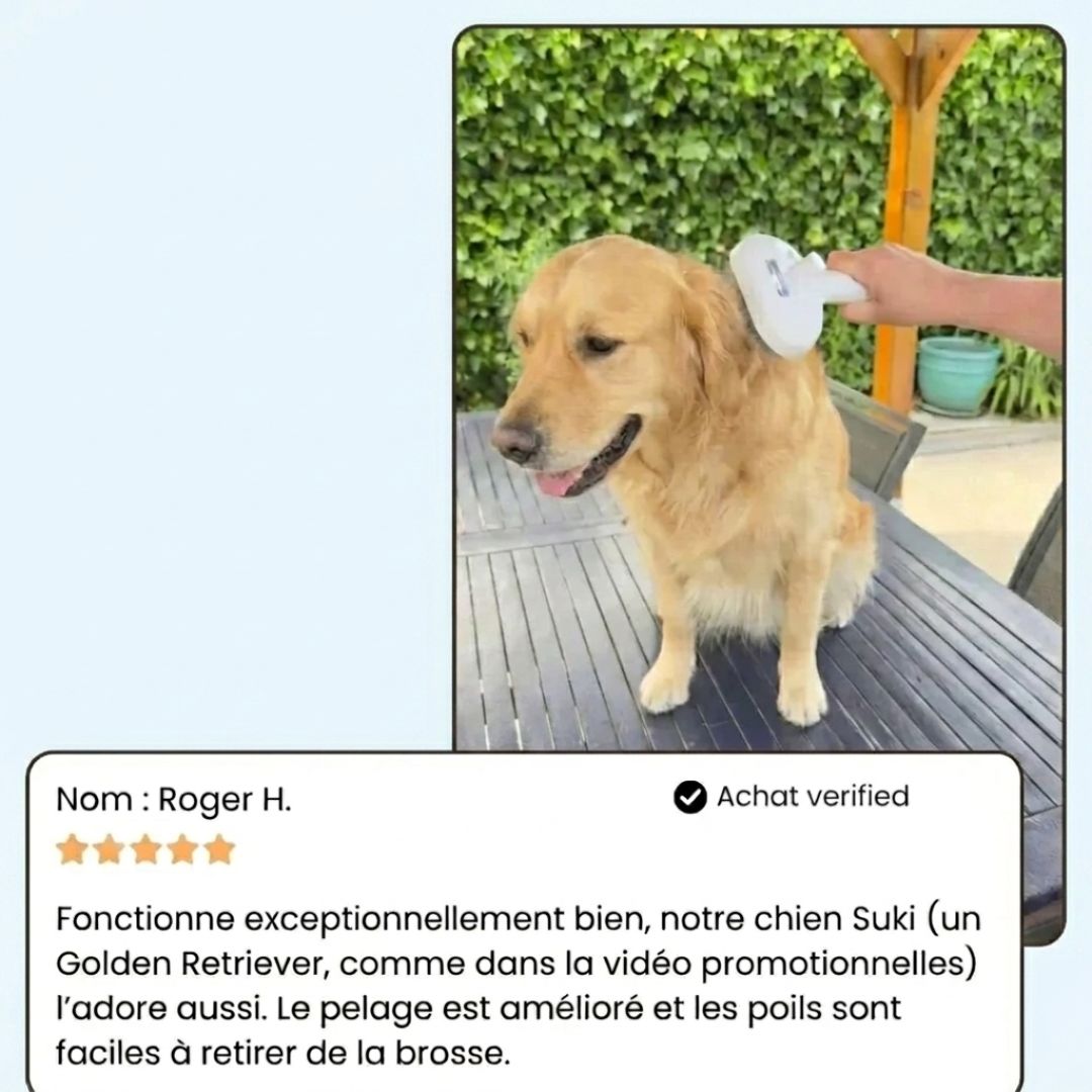 Brosse professionnelle pour le soin du pelage des animaux de compagnie