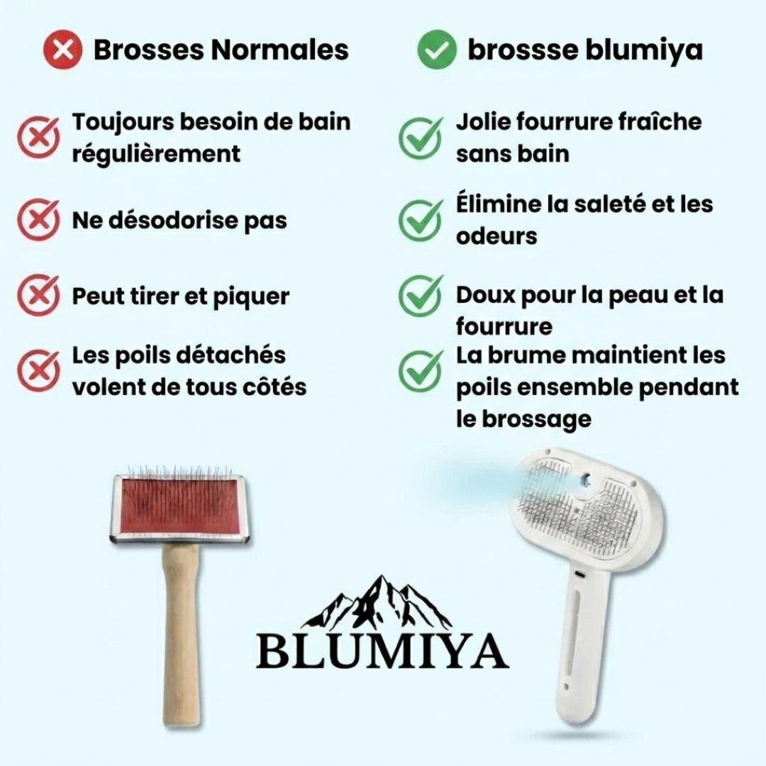 Brosse professionnelle pour le soin du pelage des animaux de compagnie