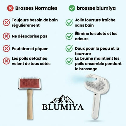 Brosse professionnelle pour le soin du pelage des animaux de compagnie