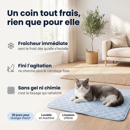 Tapis Rafraîchissant pour Chat – Offrez-lui un confort immédiat