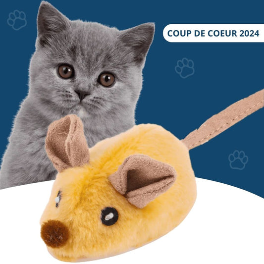 Souris Magique