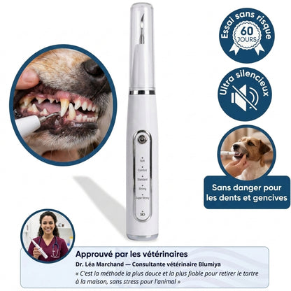 Nettoyeur Dentaire Ultrasonique pour chien – Une bouche plus saine