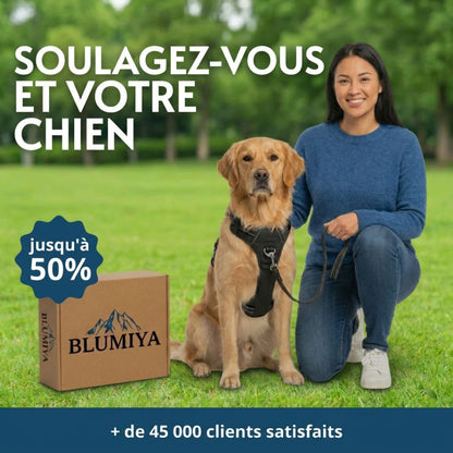 Harnais Anti-Traction – Promenez votre chien en toute sérénité