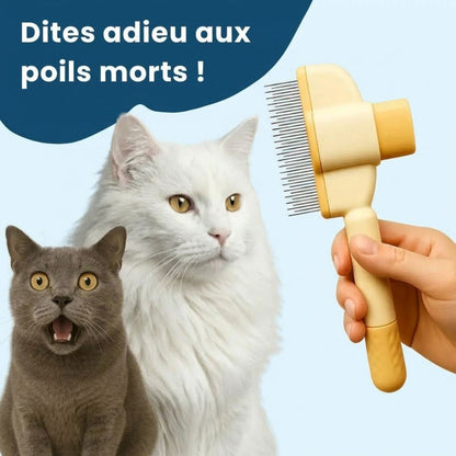 Brosse Anti-Poils Premium – Nettoyage Rapide & Doux pour Chats