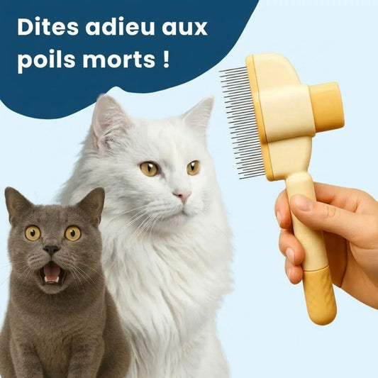 Brosse Anti-Poils Premium – Nettoyage Rapide & Doux pour Chats