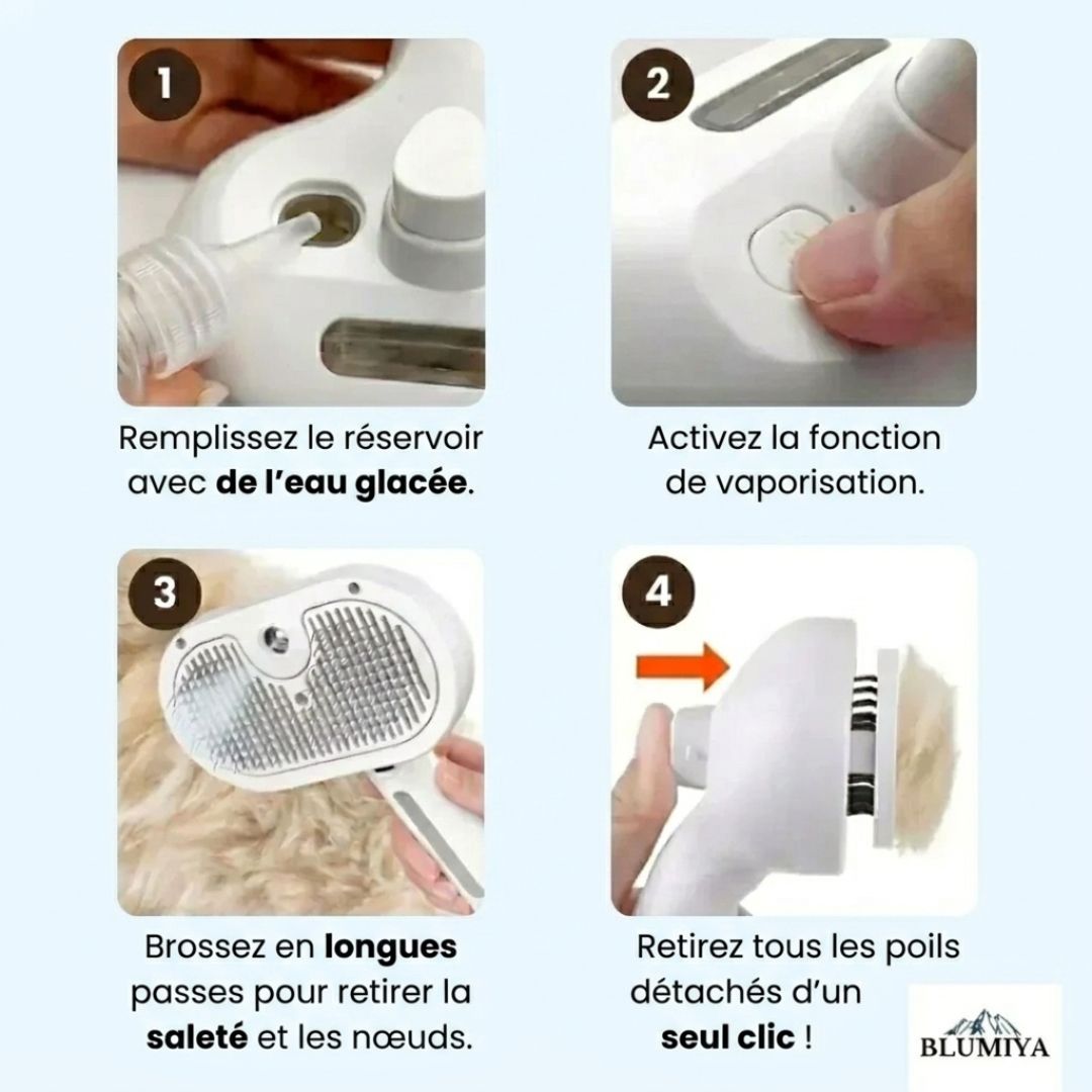 Brosse professionnelle pour le soin du pelage des animaux de compagnie