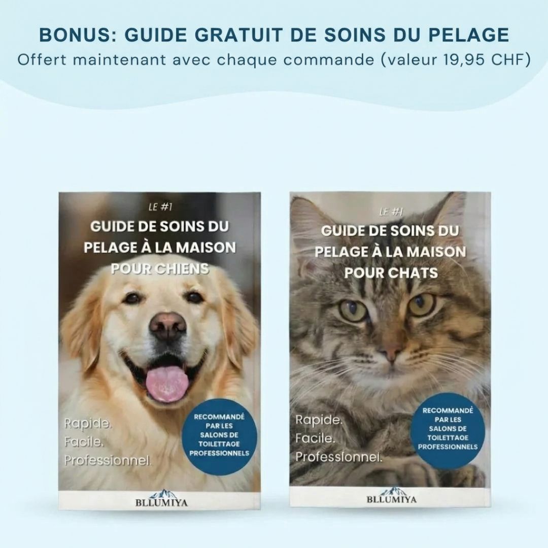 Brosse professionnelle pour le soin du pelage des animaux de compagnie