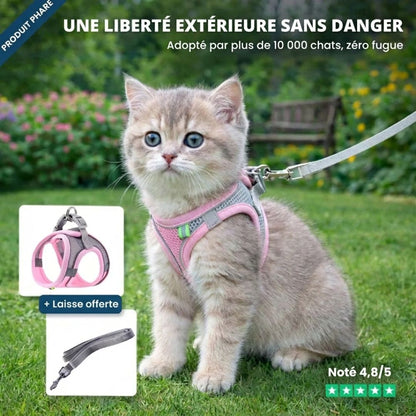 Confort et Sécurité : Harnais Anti-Fuite pour Chat avec Laisse Offerte