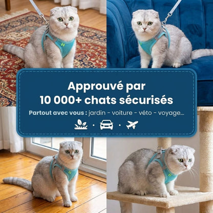 Confort et Sécurité : Harnais Anti-Fuite pour Chat avec Laisse Offerte