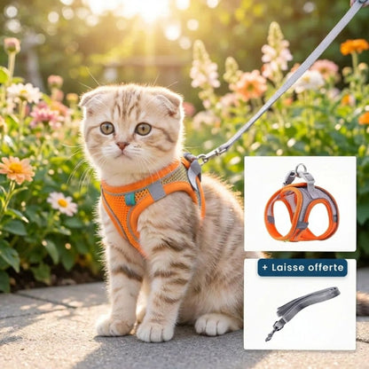 Confort et Sécurité : Harnais Anti-Fuite pour Chat avec Laisse Offerte