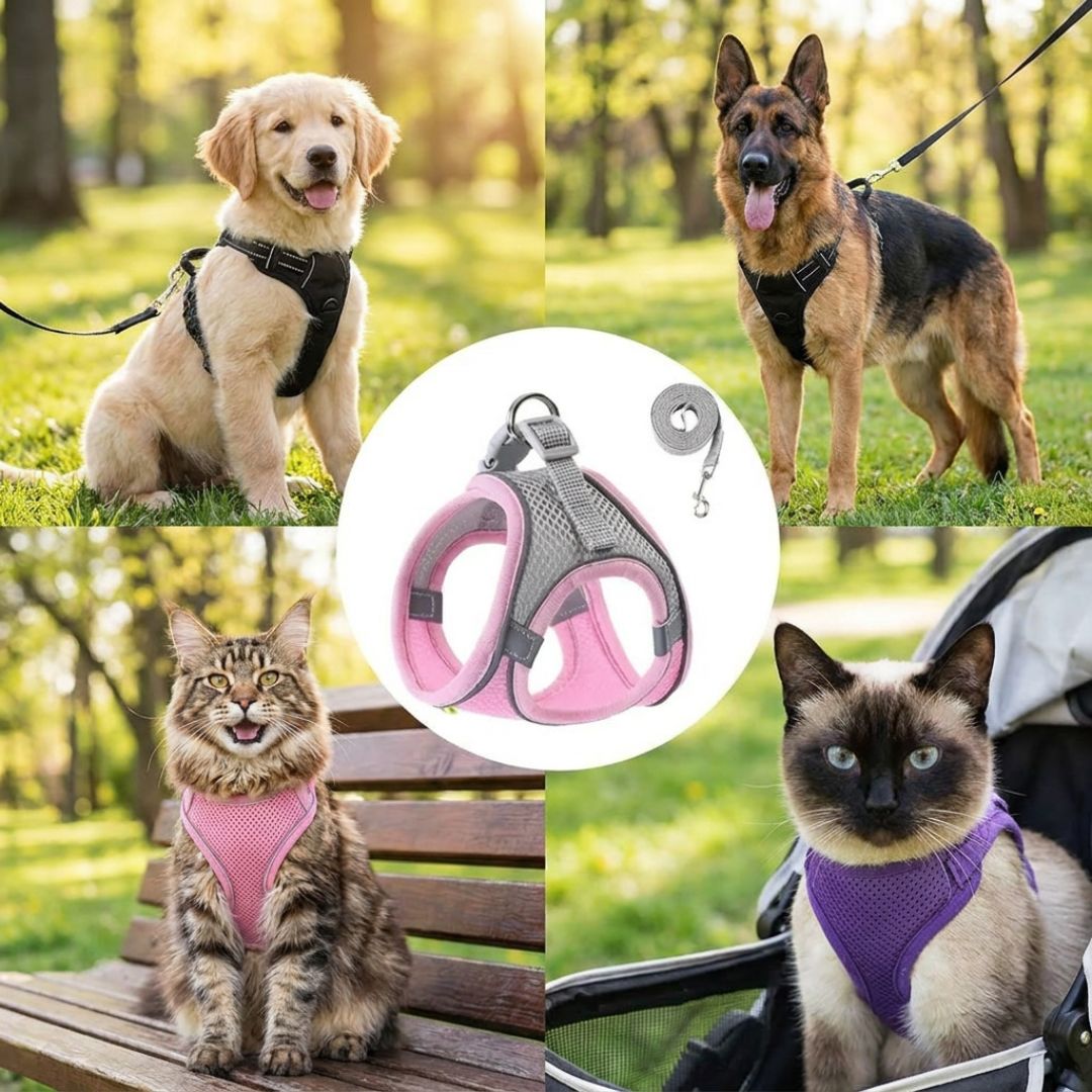 Confort et Sécurité : Harnais Anti-Fuite pour Chat avec Laisse Offerte