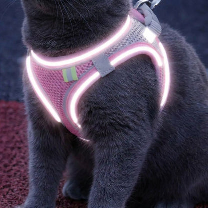 Confort et Sécurité : Harnais Anti-Fuite pour Chat avec Laisse Offerte
