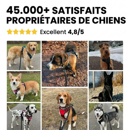 Harnais Anti-Traction – Promenez votre chien en toute sérénité