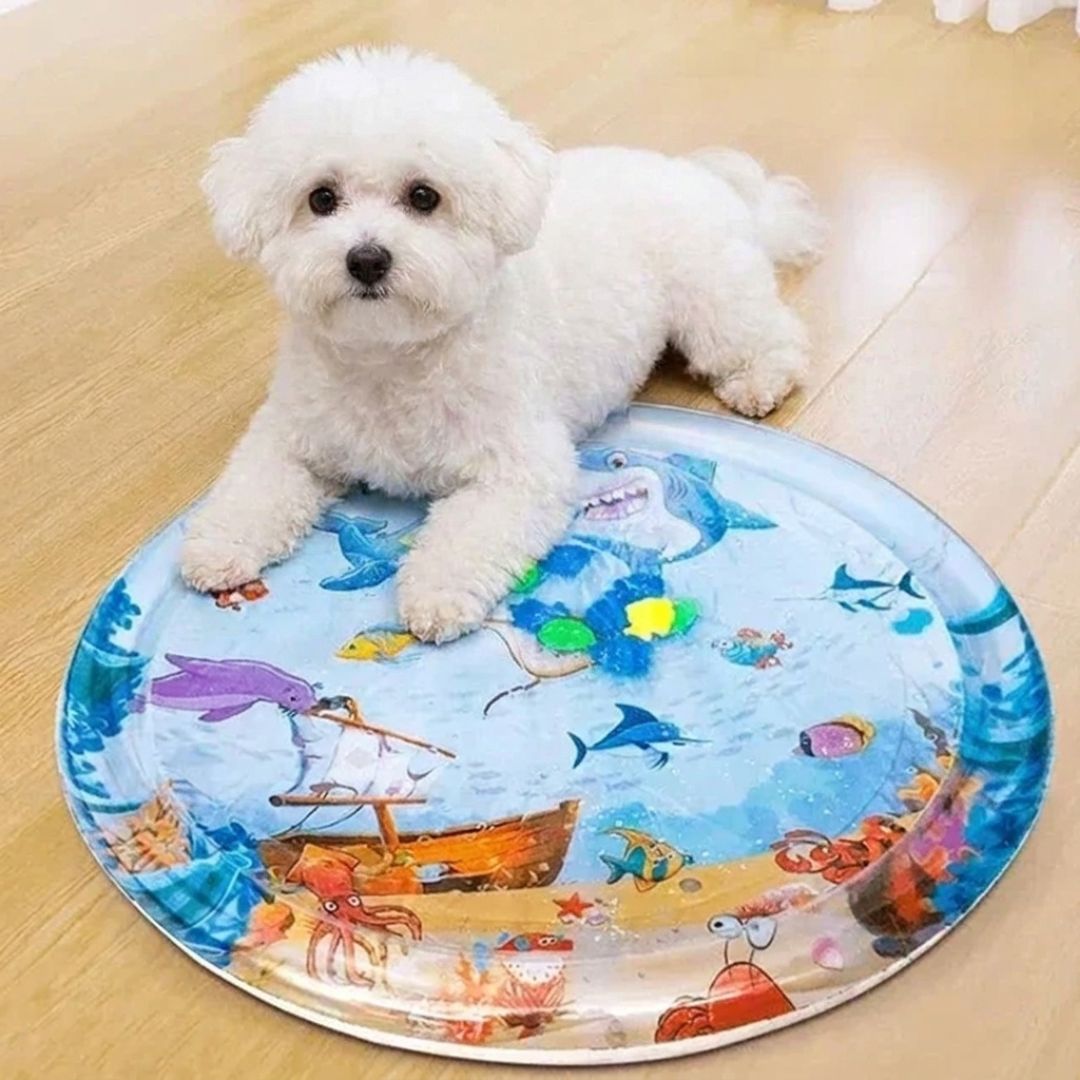 Tapis Aquafraîcheur pour Chats et chien – Offrez fraîcheur et jeu à votre félin