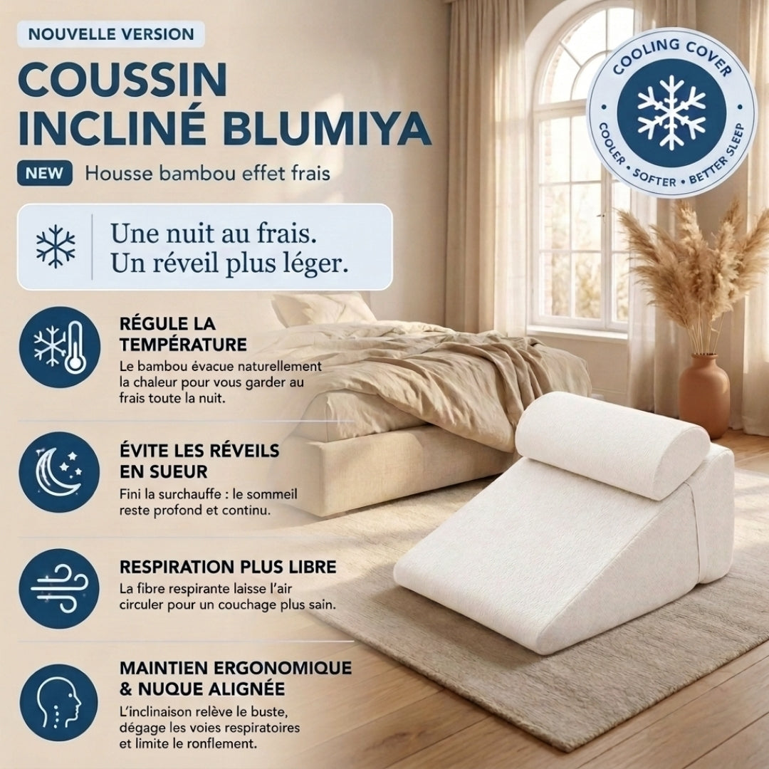 Oreiller Ergonomique – Le confort idéal pour des nuits plus reposantes