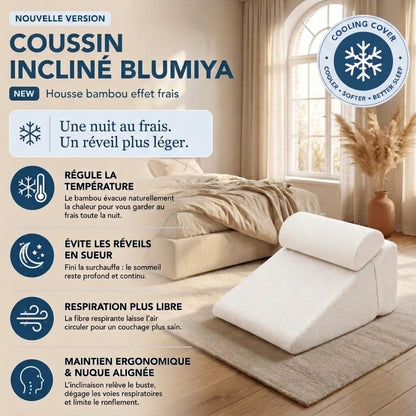 Oreiller Ergonomique – Le confort idéal pour des nuits plus reposantes