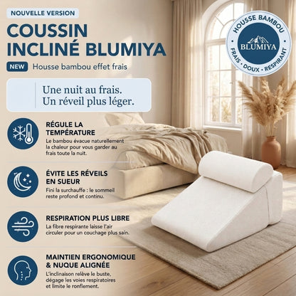 Oreiller Ergonomique – Le confort idéal pour des nuits plus reposantes